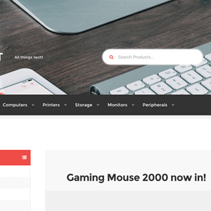 storefront outlet 1.png