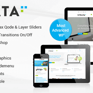 strata professional 1.png