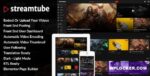 streamtube video streaming wordpress theme.jpg