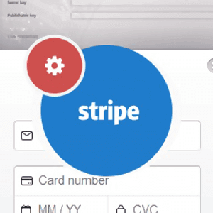 stripe payments 1.png