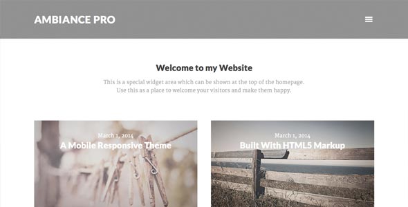 studiopress ambiance pro.jpg