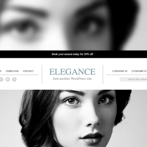 studiopress elegance theme 1.png