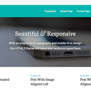 studiopress whitespace pro 1.png