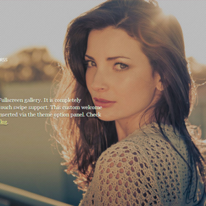 themify fullscreen 1.jpg