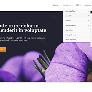 thrive themes ignition 1.png