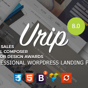 urip professional wordpress landing page 1.png