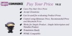 woocommerce pay your price.jpg