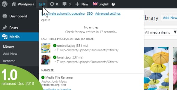 wordpress real physical media.jpeg