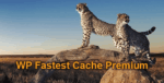 wp fastest cache premium.png