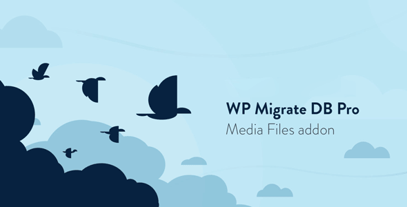 wp migrate db pro media files addon.png