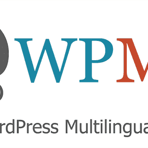 wpml advanced custom fields multilingual 1.png