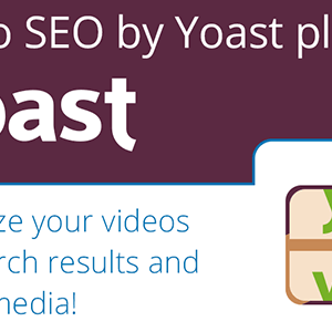 yoast video seo 1.png