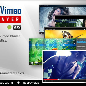youtubevimeo video player and slider with playlist wordpress plugin 1.jpg