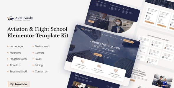 aviationaly aviation flight school elementor template kit.jpg