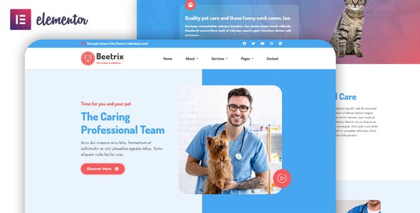 beetrix pet clinic hospital elementor template kit 3.jpg