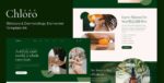 chloro skincare dermatology elementor template kit.jpg