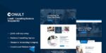 conult consulting business elementor template kit.jpg