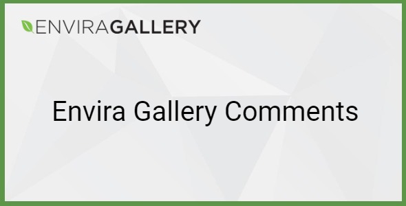envira gallery – comments addon