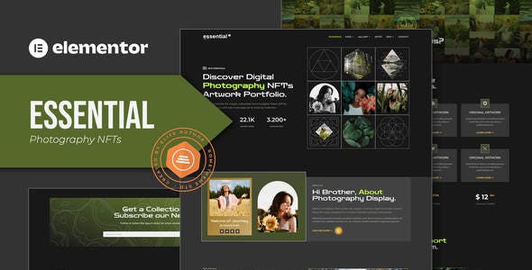 essential photography nft portfolio elementor template kit.jpg