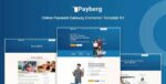 payberg online payment gateway elementor pro template kit.jpg
