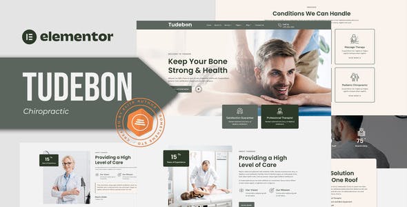 tudebon chiropractic physiotherapy elementor template kit.jpg