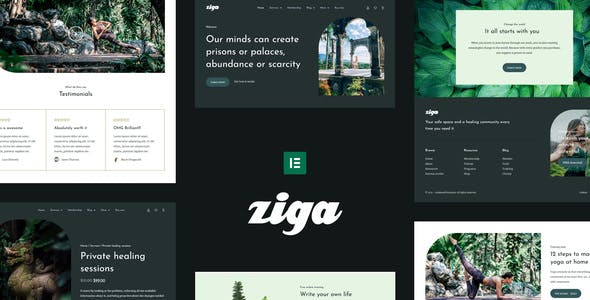 ziga healer life coach elementor template kit.jpg